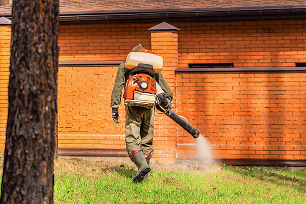 Trusted Fumigation Services service in Taylorsville, MS - Nex Pest Control